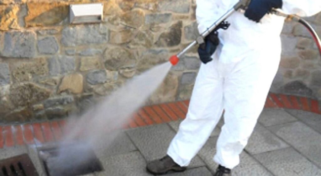 derattizzazione_Romadisinfestazioni