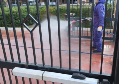 Roma-disinfestazioni_derattizzazione-deblattizzazione-vespe-calabroni-sanificazioni-ambientali_03