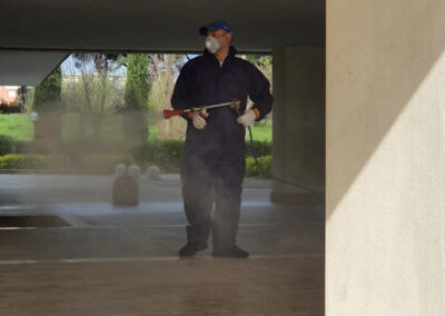 Roma-disinfestazioni_derattizzazione-deblattizzazione-vespe-calabroni-sanificazioni-ambientali_04