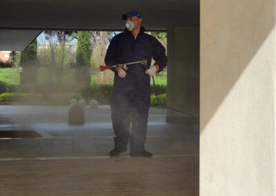 Roma-disinfestazioni_derattizzazione-deblattizzazione-vespe-calabroni-sanificazioni-ambientali_10
